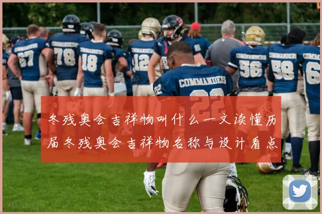 冬残奥会吉祥物叫什么一文读懂历届冬残奥会吉祥物名称与设计看点