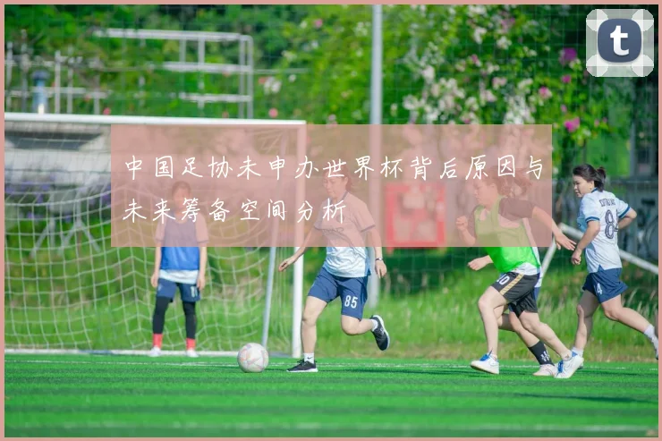 中国足协未申办世界杯背后原因与未来筹备空间分析