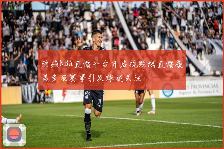 雨燕NBA直播平台开启视频线直播覆盖多场赛事引发球迷关注